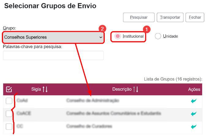 grupo-envio-10.jpg