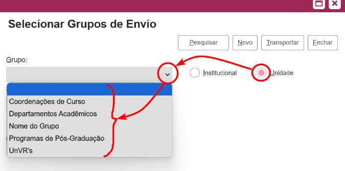 grupo-envio-7.jpg
