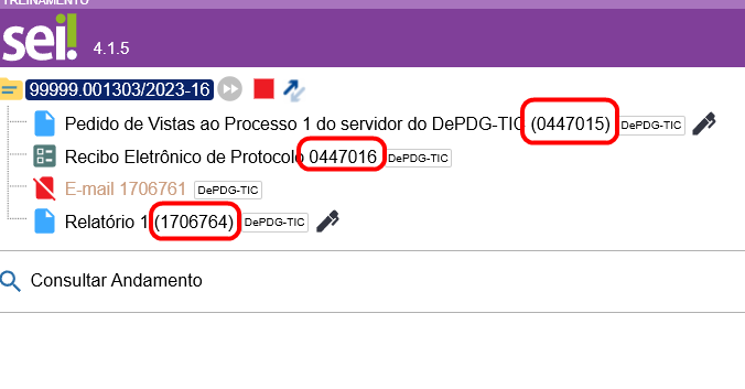 Manual Tramita-1.png