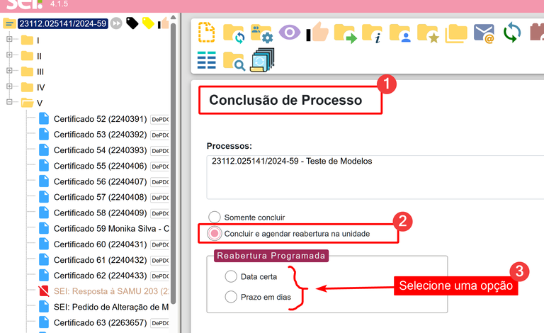 O que é e como usar a Reabertura Programada de Processos no SEI-5.png